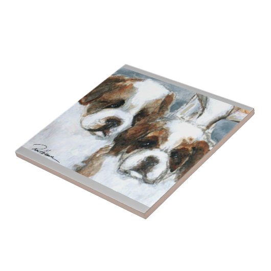 Carreau Les Saintes. . . (Côté)