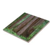 Carreau Les séquoias antiques (Côté)