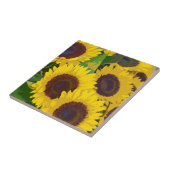 Carreau Les tournesols d'été jaunes (Côté)