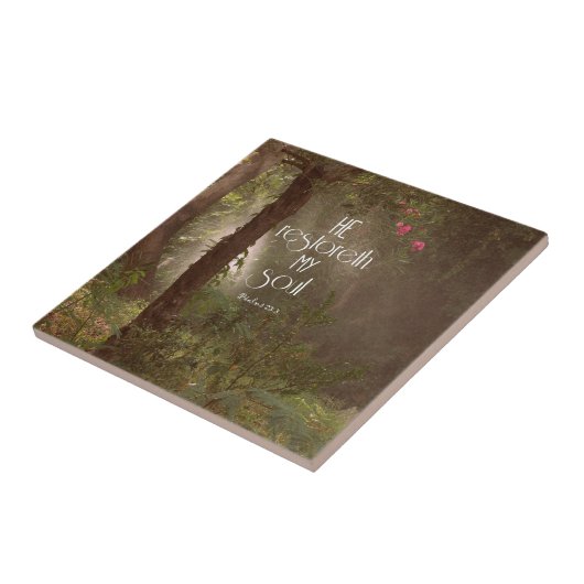 Carreau Les Versets de Soul (Côté)