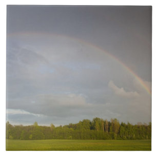 Carreau Lettonie, Lettonie du Nord-Est, Région de Vidzeme,