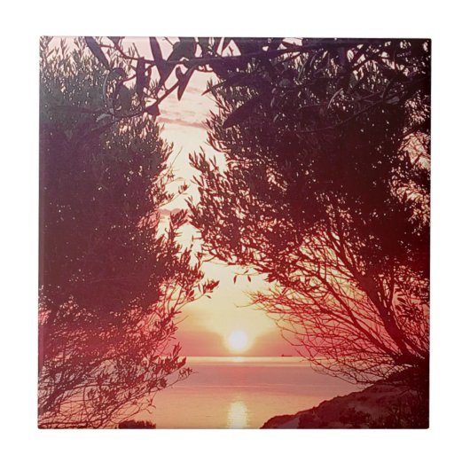 Carreau lever (Devant)