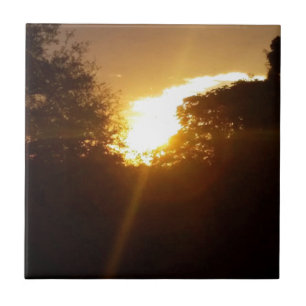 Carreau Lever de soleil brillant sur les arbres