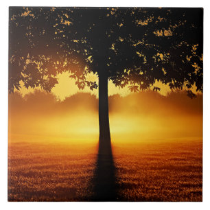 Carreau Lever du soleil, silhouette des arbres,