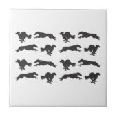 Carreau Lévriers Silken en course  (Devant)