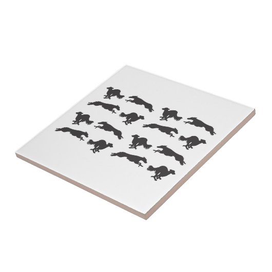 Carreau Lévriers Silken en course  (Côté)