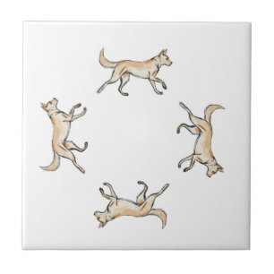 Carreau Lexi Trot