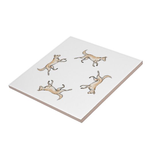 Carreau Lexi Trot   (Côté)