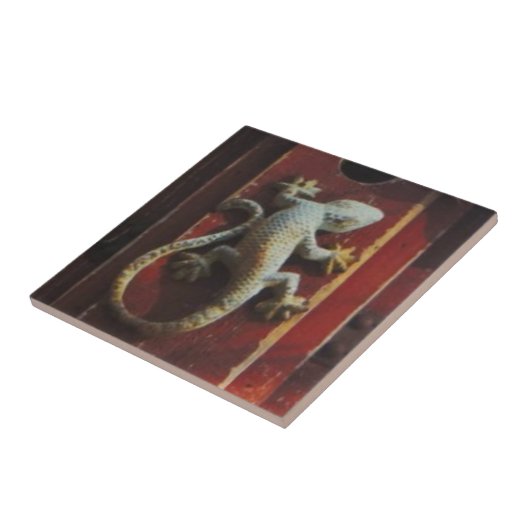 Carreau lézard gris sur bois usé (Côté)