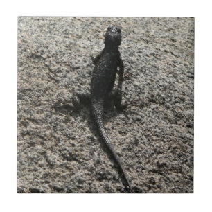 Carreau Lézard noir