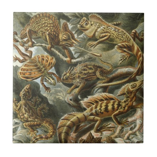 Carreau Lézards par Ernst Haeckel Lacertilia Animal Vintag (Devant)