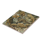 Carreau Lézards par Ernst Haeckel Lacertilia Animal Vintag (Côté)