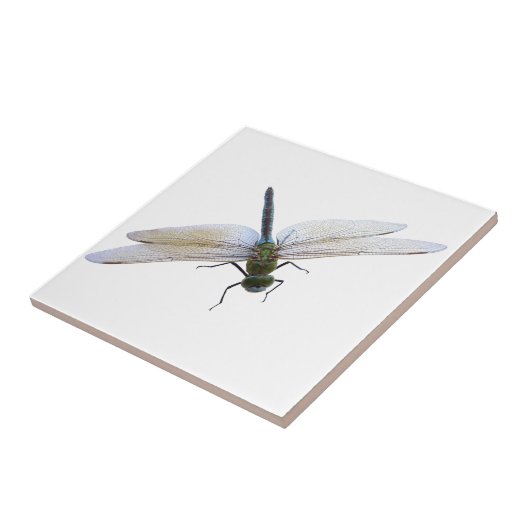 Carreau libellule (Côté)