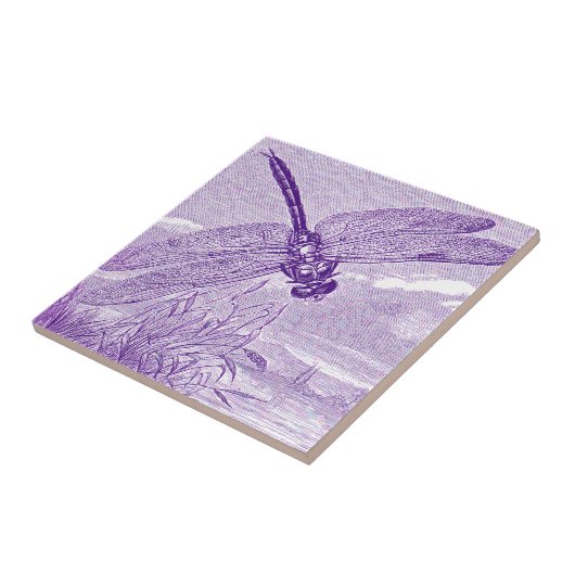 Carreau Libellule (Côté)