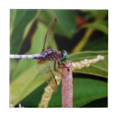 Carreau libellule avec fleurs blanches (Devant)