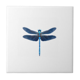 Carreau Libellule bleue - Amoureux de la faune insecte ani