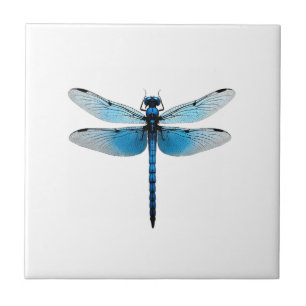 Carreau Libellule bleue - Ento amateur d'insectes faune