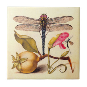 Carreau Libellule Botanique Nature Faune Hoefnagel Art