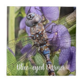 Carreau Libellule Darner aux Yeux Bleus sur Fleur (Devant)