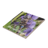 Carreau Libellule Darner aux Yeux Bleus sur Fleur (Côté)