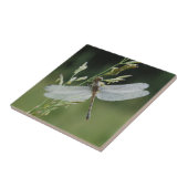 Carreau Libellule Darner couverte de rosée (Côté)