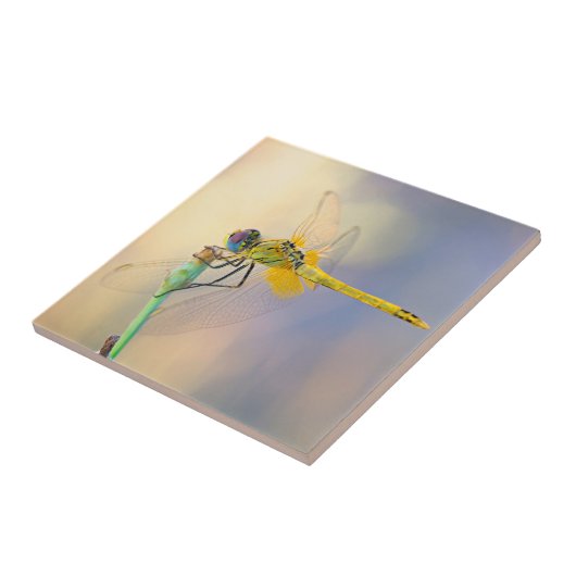 Carreau Libellule multicolore (Côté)