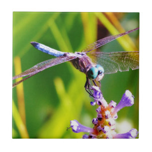 Carreau libellule turquoise et violette