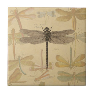 Carreau Libellule Vintage Antique Classique Nature