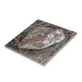 Carreau Lichen de roche de mousse (Côté)