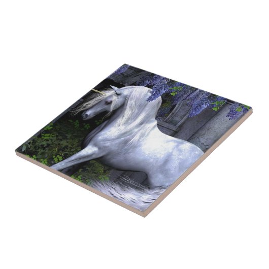 Carreau Licorne (Côté)