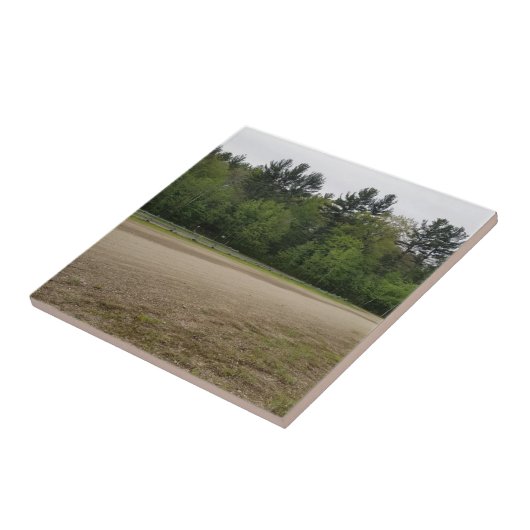 Carreau Lieux simples (Côté)