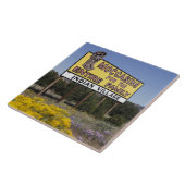 Carreau Ligne de partage des eaux, Nouveau Mexique, (Côté)