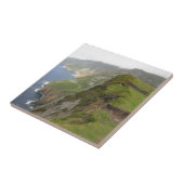 Carreau Ligue de Slieve (Côté)