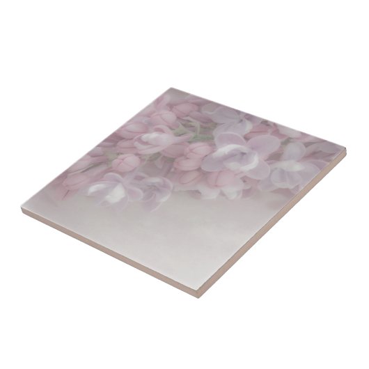 Carreau Lilac (Côté)