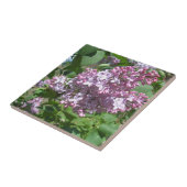 Carreau Lilacs (Côté)