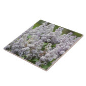 Carreau Lilas (Côté)