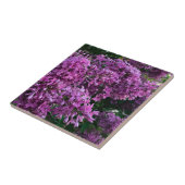 Carreau lilas rose violet | photo florale rose romantique (Côté)