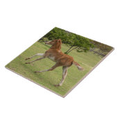 Carreau L'île de Pâques aka Rapa Nui (Côté)