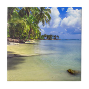 Carreau L'île tropicale des palmiers à coco