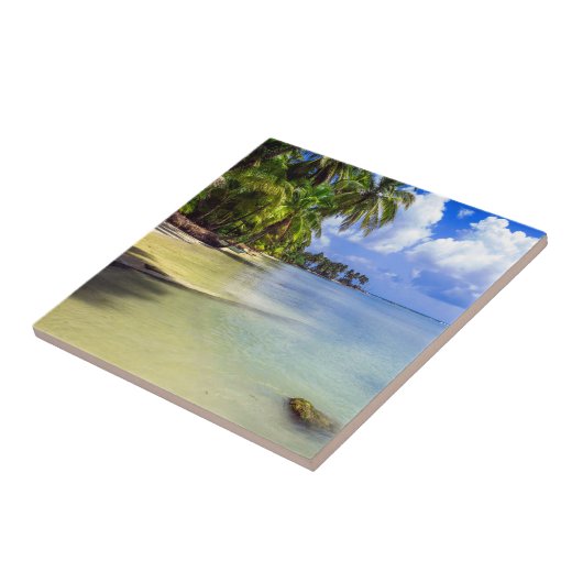 Carreau L'île tropicale des palmiers à coco (Côté)