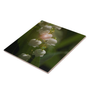 Carreau Lily De La Vallée Florale