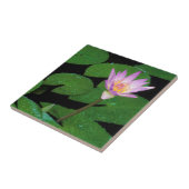 Carreau Lily de l'eau bleue du Cap (Nymphaea Capensis) (Côté)