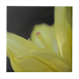 Carreau Lily jaune par Shirley Taylor