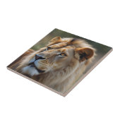 Carreau Lion (Côté)