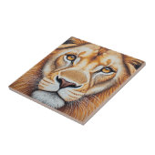 Carreau Lion (Côté)