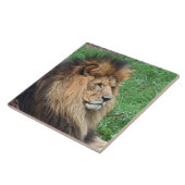 Carreau Lion 001 (Côté)