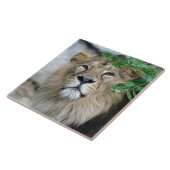 Carreau Lion 002 (Côté)