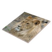 Carreau Lion 011 (Côté)