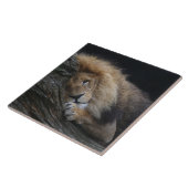 Carreau Lion 030 (Côté)