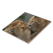 Carreau Lion 033 (Côté)